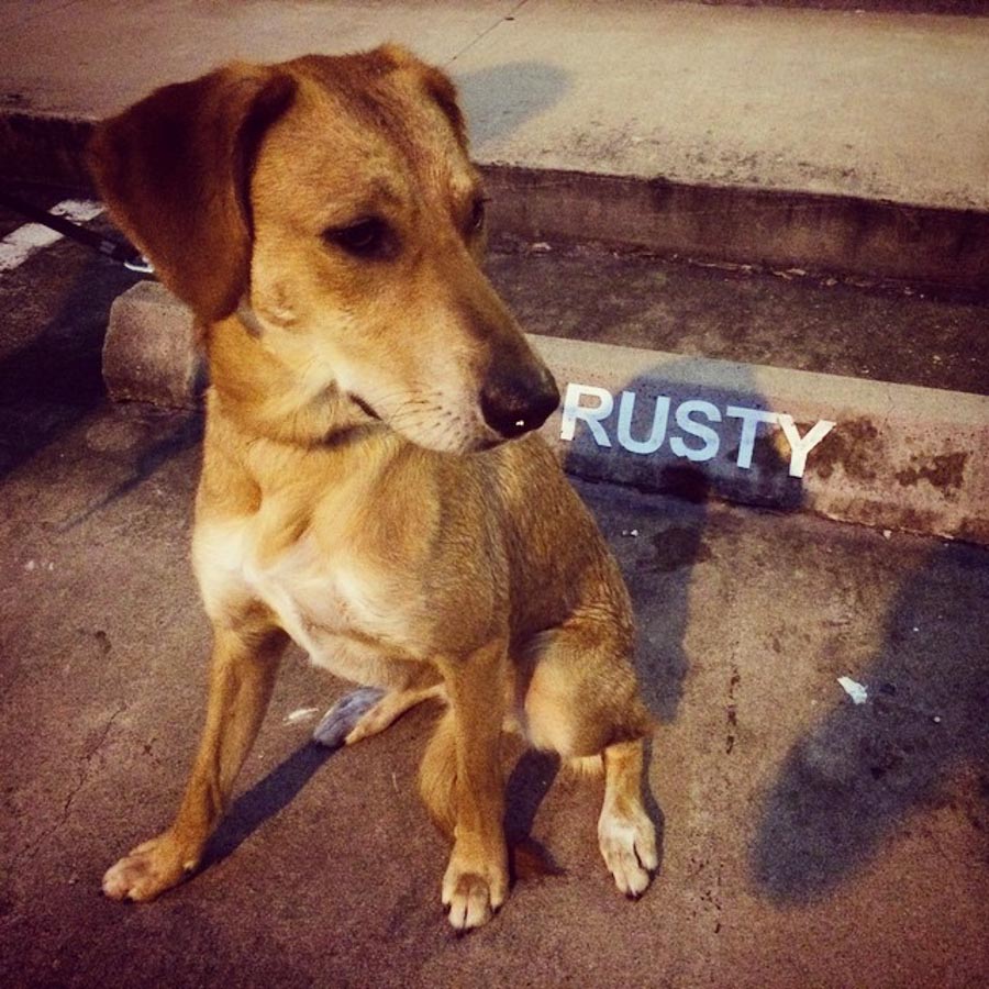 Rusty 2